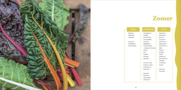 Kookboek Lekker lunchen met seizoensgroenten (e-book) - Afbeelding 3